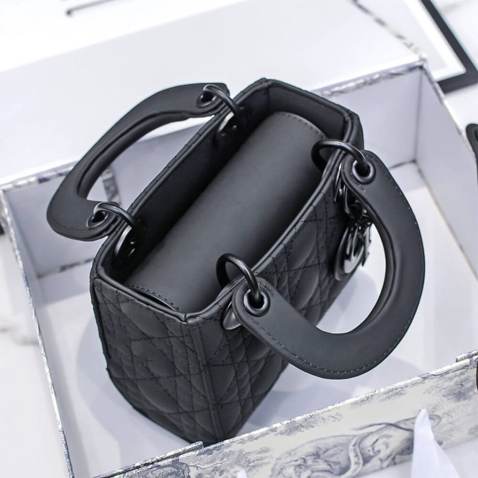 mini lady D*or bag