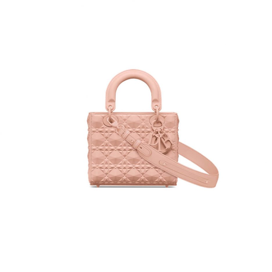 small lady D*or my abcD*or bag