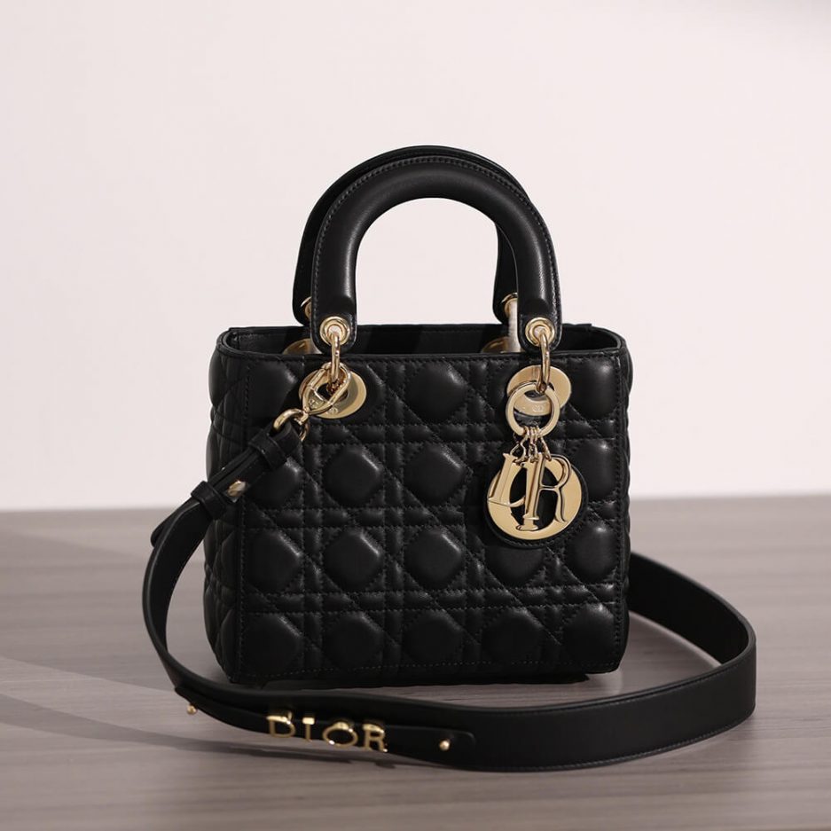 small lady D*or bag