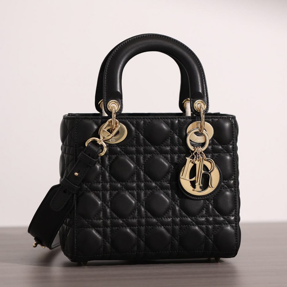 small lady D*or bag