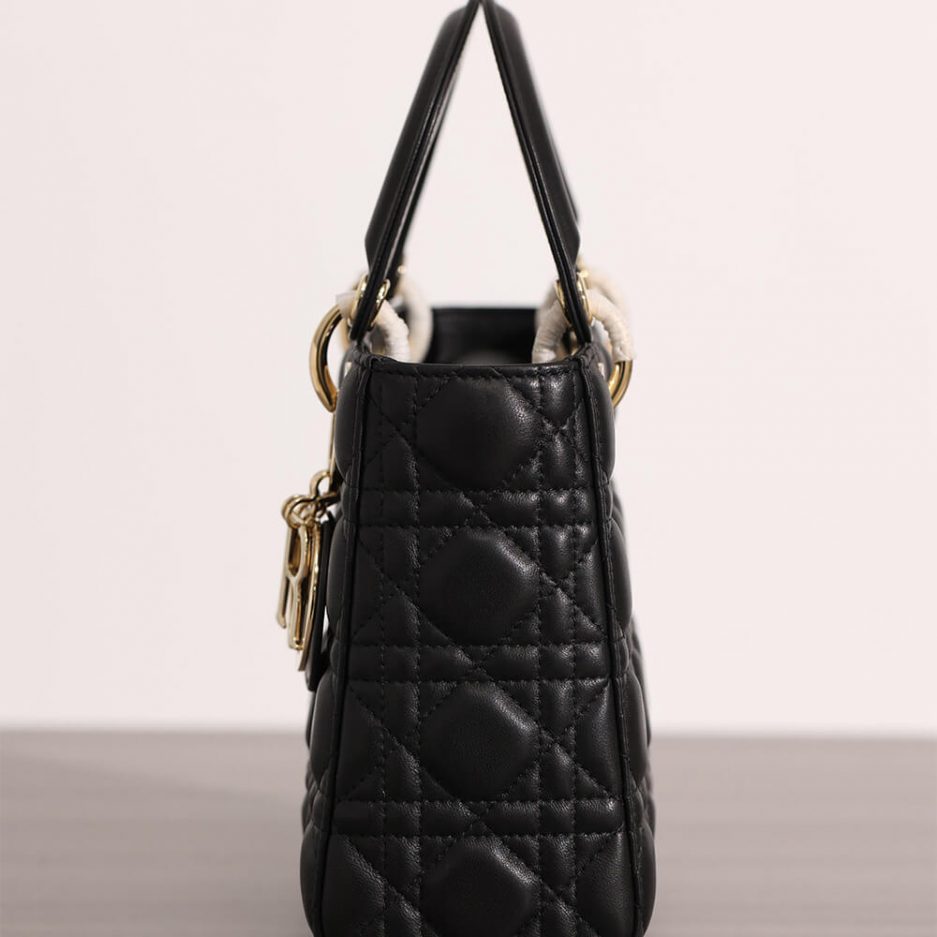 small lady D*or bag