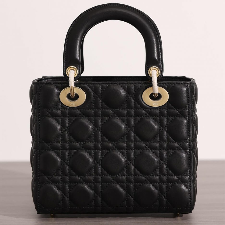 small lady D*or bag