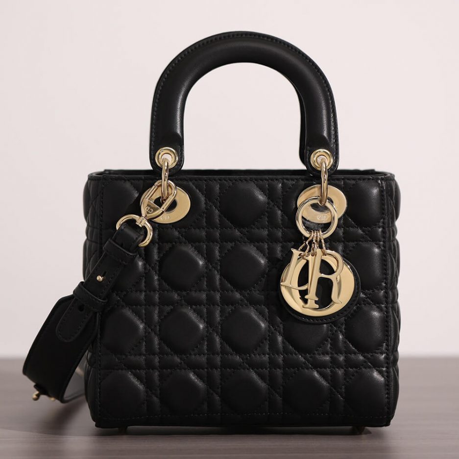 small lady D*or bag
