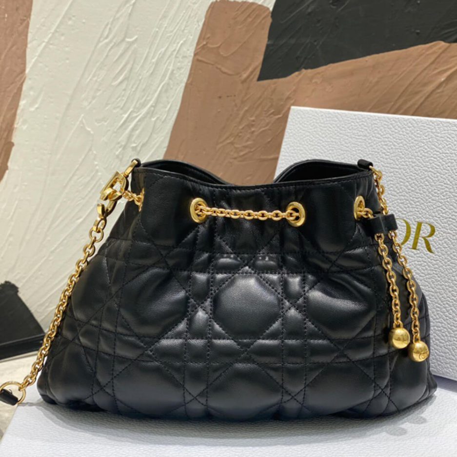 medium D*or ammi bag
