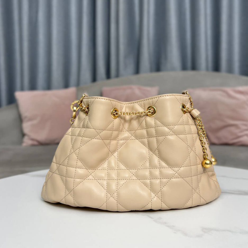 medium D*or ammi bag