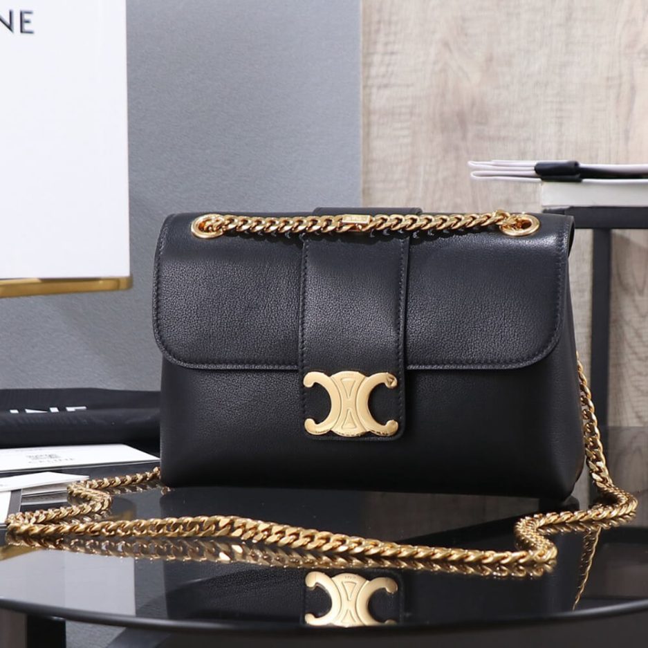 ce**e teen ce**e victoire bag in S*pple calfskin